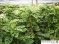 /album/fotogaleria-fotogaleria/diapositiva6-jpg5/