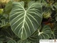 /album/fotogaleria-fotogaleria/diapositiva9-jpg5/